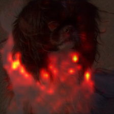 1698_7_attn.png