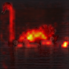 1699_0_attn.png