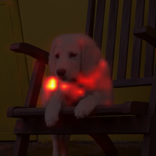 16_0_attn.png