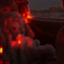 16_4_attn.png