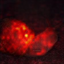 1700_5_attn.png