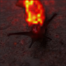 1700_7_attn.png