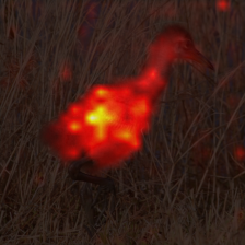 1700_9_attn.png