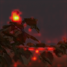 1701_2_attn.png
