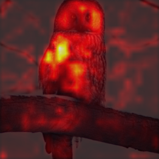 1701_3_attn.png