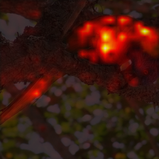 1701_6_attn.png