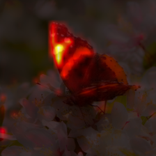 1701_9_attn.png