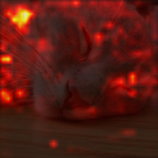 1715_0_attn.png