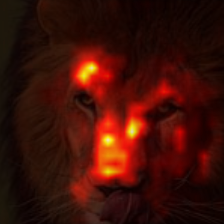 1715_1_attn.png