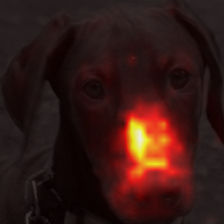 1716_0_attn.png