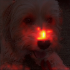 1716_1_attn.png