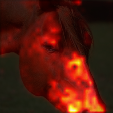 1716_5_attn.png