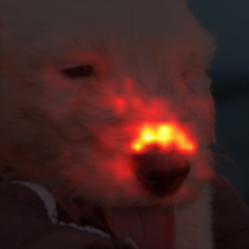 1716_6_attn.png