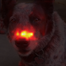 1716_9_attn.png
