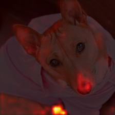 1717_1_attn.png