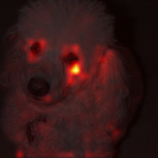 1717_2_attn.png