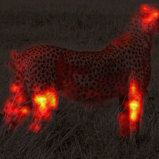 1717_5_attn.png