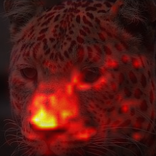 1719_0_attn.png