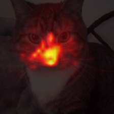 1719_2_attn.png