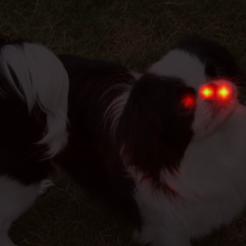 1719_7_attn.png