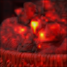 171_5_attn.png