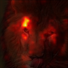 1720_3_attn.png