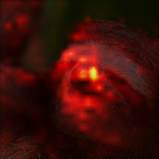 1720_4_attn.png