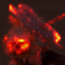 1720_6_attn.png