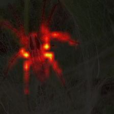 1720_7_attn.png