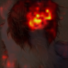 1720_8_attn.png