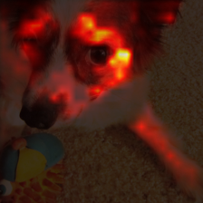 1720_9_attn.png