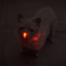 1721_0_attn.png
