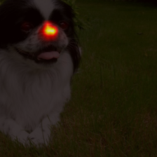 1721_8_attn.png