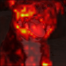 1722_3_attn.png