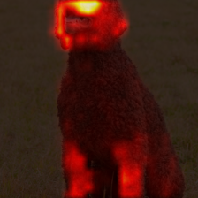 1722_5_attn.png