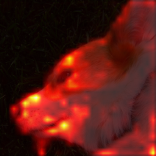 1722_7_attn.png