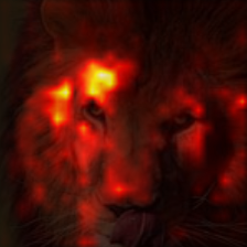 1722_8_attn.png