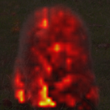 1722_9_attn.png