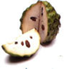 1723_5_original.png