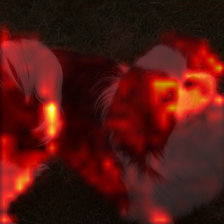1775_4_attn.png