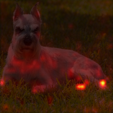 1775_9_attn.png