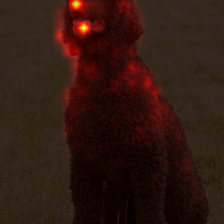 1776_6_attn.png