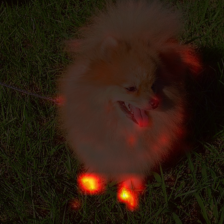 1777_0_attn.png