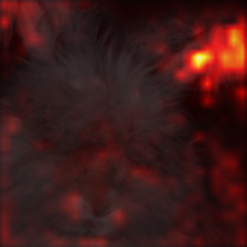 1777_2_attn.png