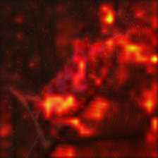 1785_0_attn.png