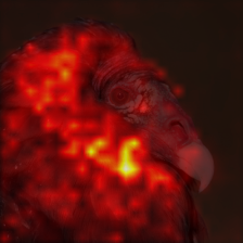 1_1_attn.png