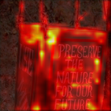 20_5_attn.png
