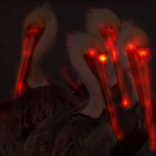 226_1_attn.png