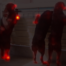 226_2_attn.png