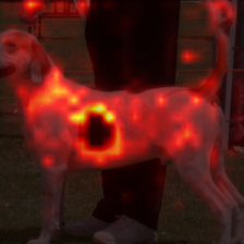 26_2_attn.png